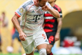 APP下载_关于拜仁慕尼黑德甲击败奥格斯堡凯恩关键进球的信息